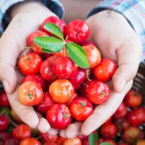 acerola cherries