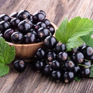 black currants
